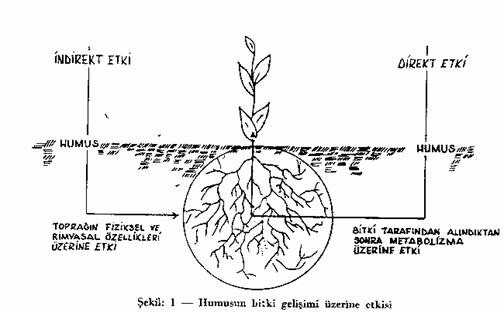 Organik Madde Ve nemi